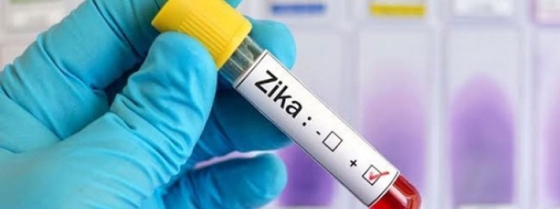 Vacina contra zika protege camundongos e macacos contra o vrus, mostra estudo